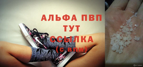 прущие грибы Бронницы