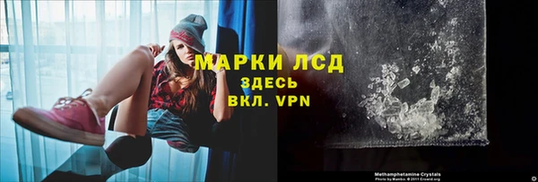 прущие грибы Бронницы