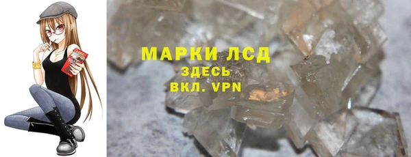 прущие грибы Бронницы