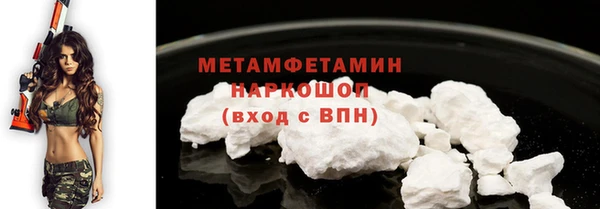 прущие грибы Бронницы