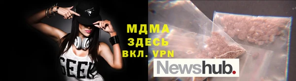 прущие грибы Бронницы