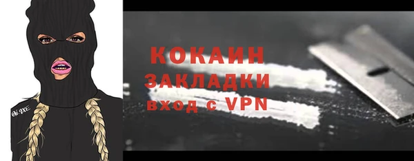 прущие грибы Бронницы
