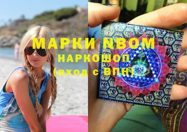 прущие грибы Бронницы