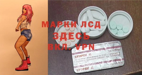 прущие грибы Бронницы