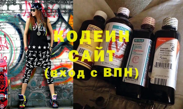 прущие грибы Бронницы