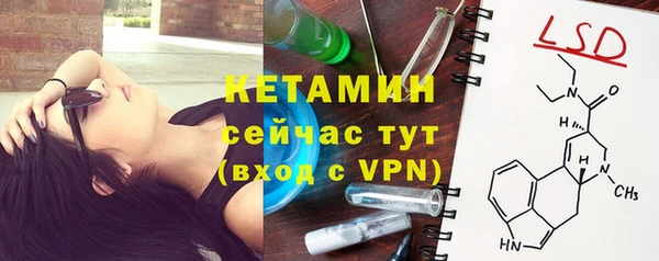 прущие грибы Бронницы