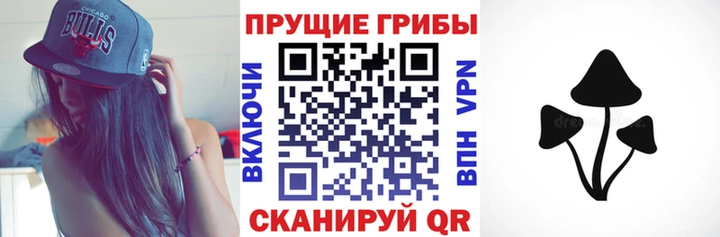 это клад  KRAKEN маркетплейс  Нижний Тагил  Псилоцибиновые грибы мухоморы 